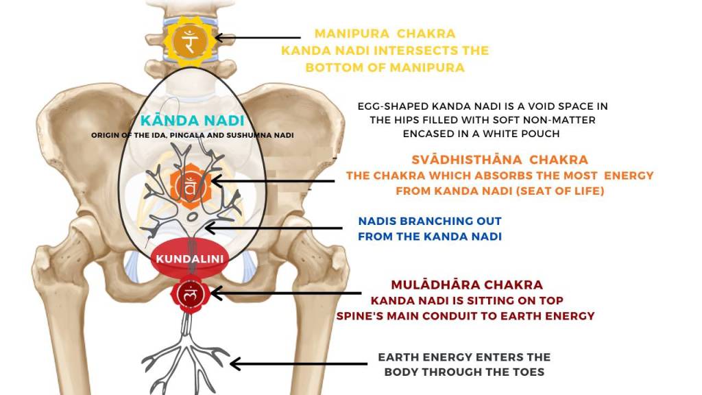 Kanda-Nadi-Kandasana