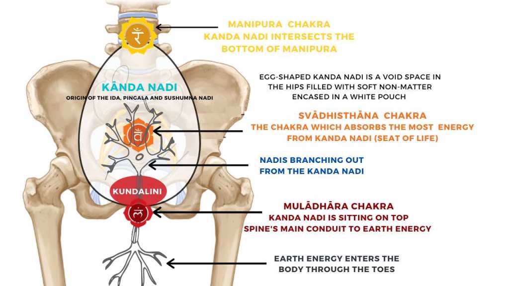 Kanda-Nadi-Kandasana