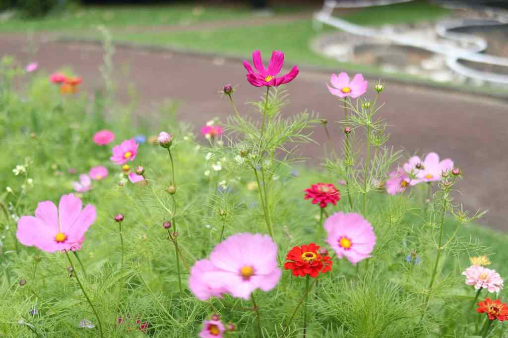 A Day Of&nbsp;Appreciation